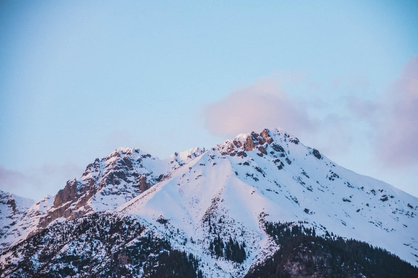 Retrieving AlpineJS data in a global function